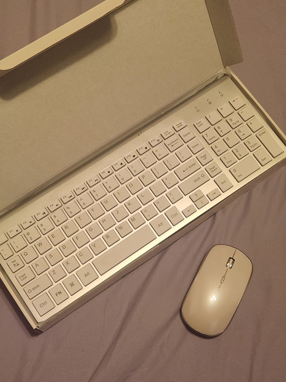 Wireless Silver Keyboard and Mouse Combo